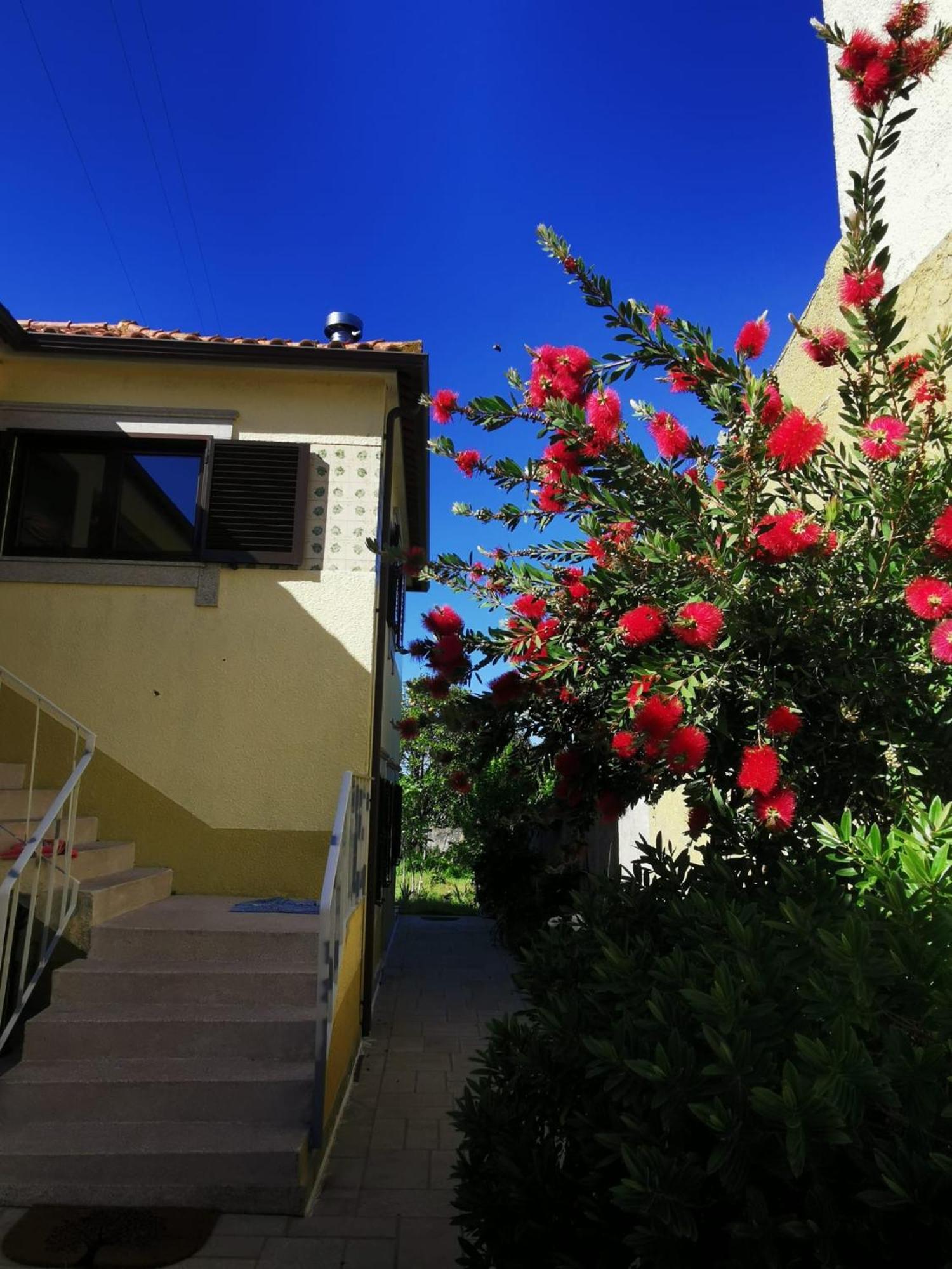 Casa Sao Pedro Belinho Only Pilgrims Bed and Breakfast Eksteriør billede